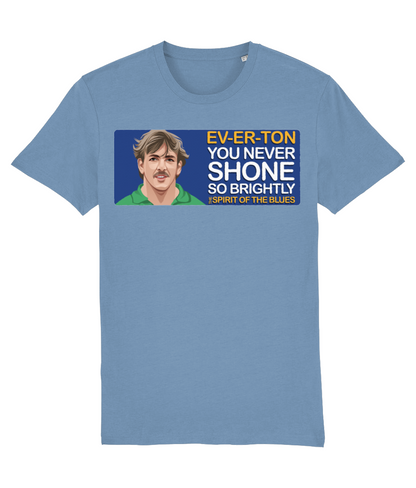 Everton Neville Southall The Spirit Of The Blues Unisex T-Shirt Stanley/Stella Retrotext Mid Heather Blue XX-Small 