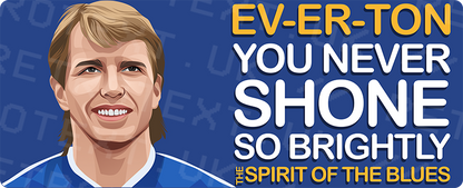 Everton Trevor Steven The Spirit Of The Blues Unisex T-Shirt Stanley/Stella Retrotext   